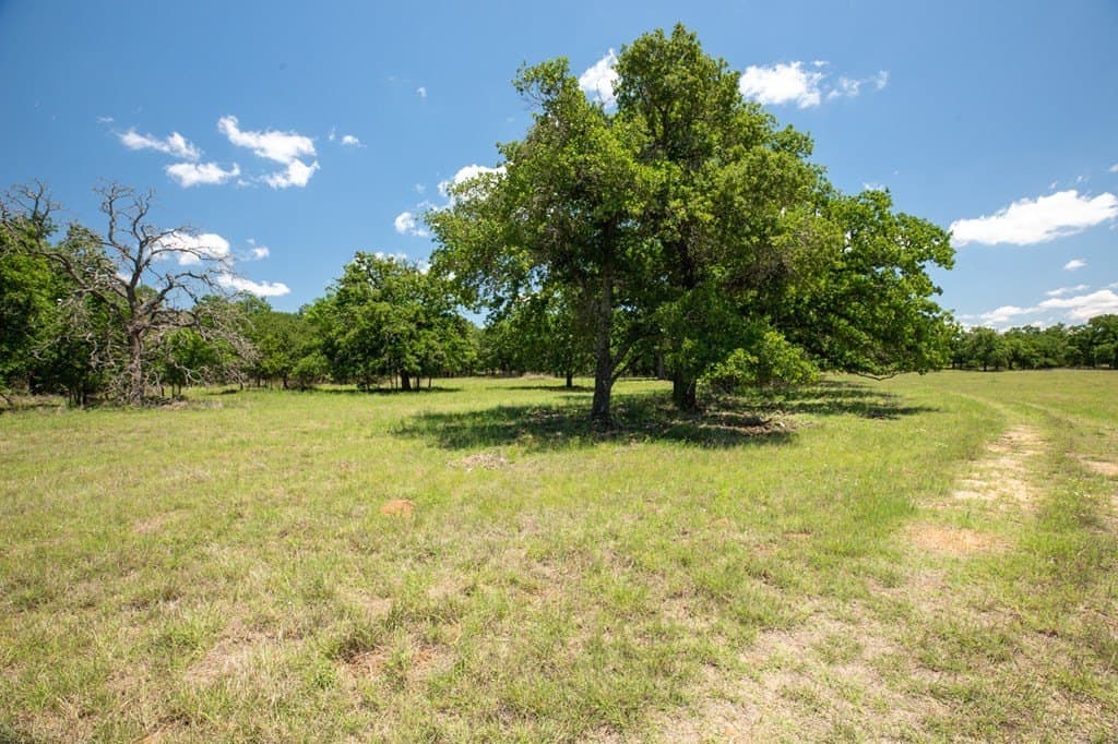 10.21 acres in Gillespie County - photo 8