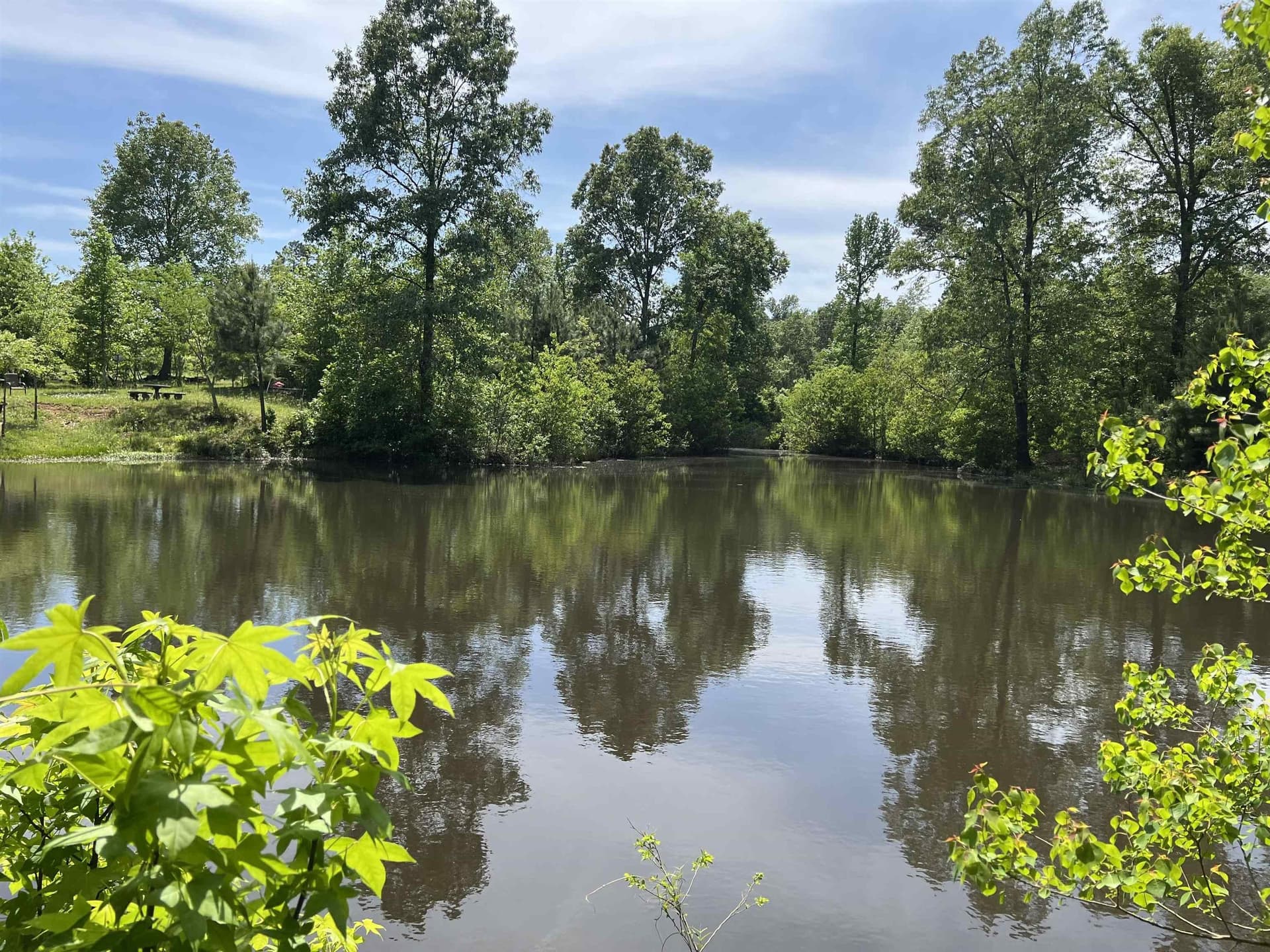 10.3 acres in Panola County