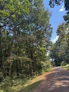0.26 acres in Texas County gallery image 2