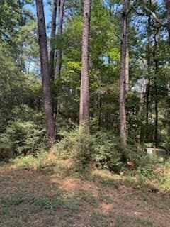 0.26 acres in Texas County gallery image 4