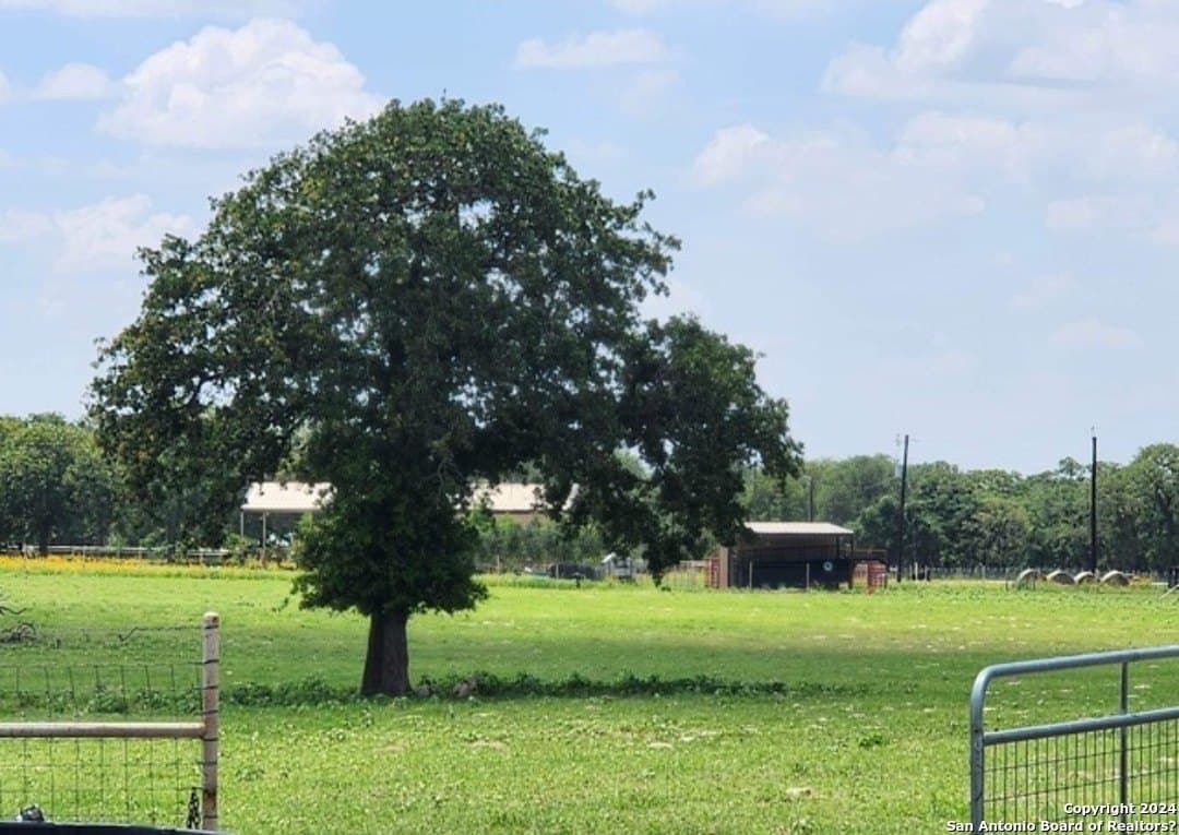 6.3 acres in Wilson County - photo 13