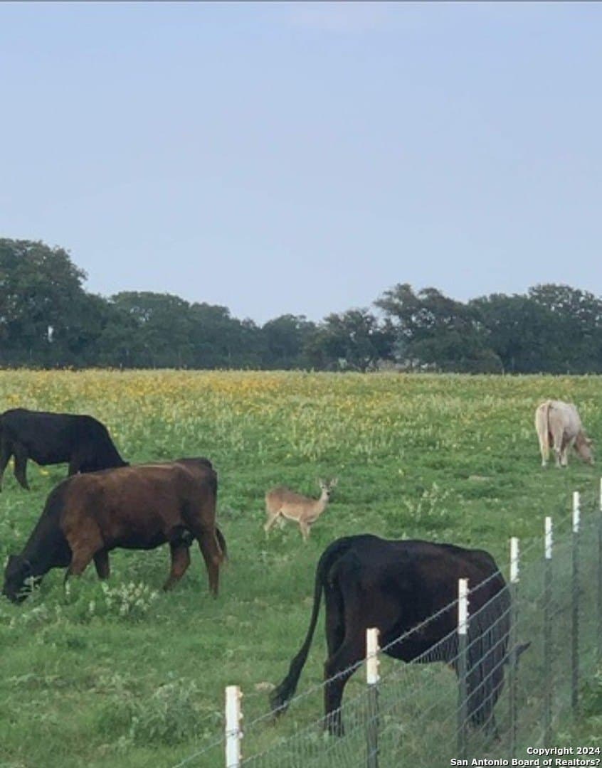 6.3 acres in Wilson County - photo 12
