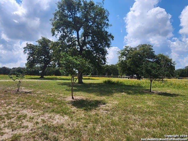 6.3 acres in Wilson County - photo 6