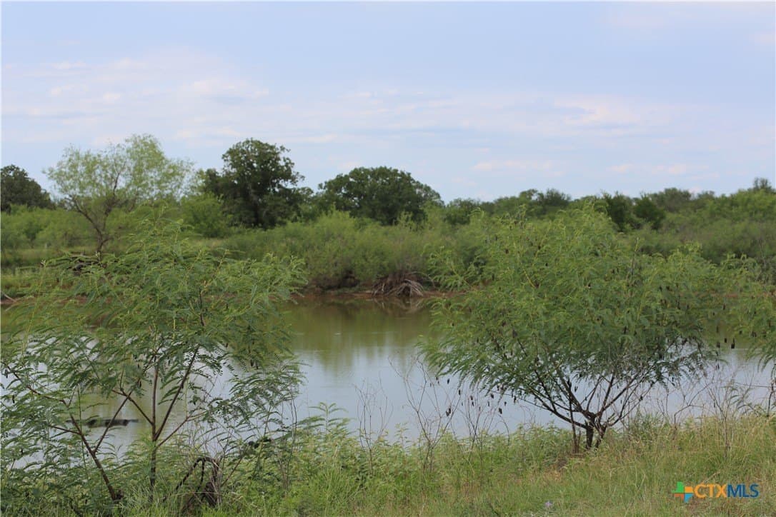 50 acres in Gonzales County gallery image 3