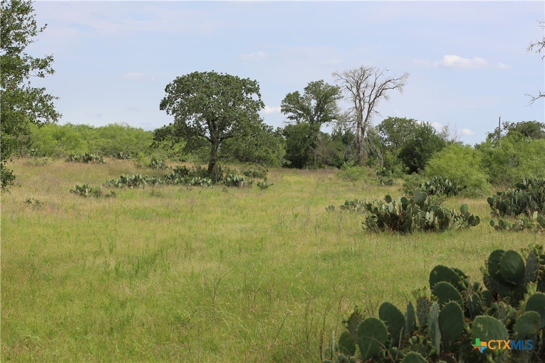 50 acres in Gonzales County featured view