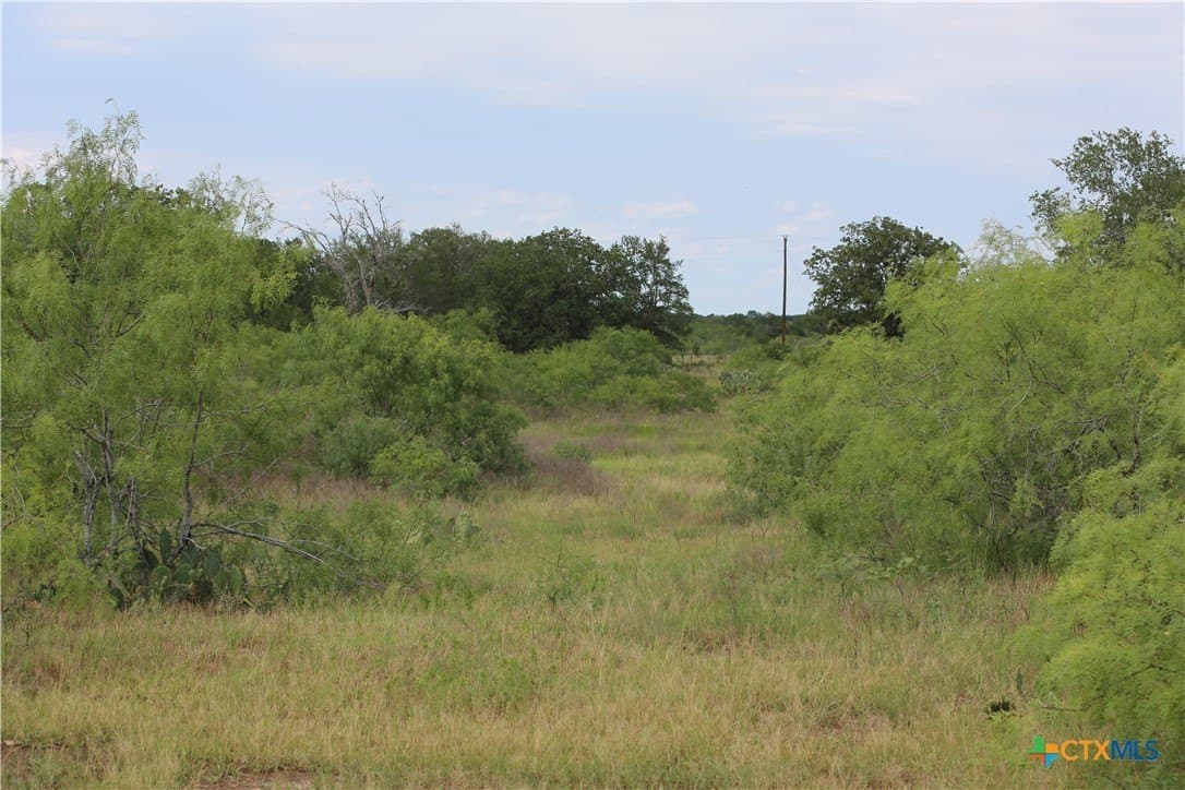 50 acres in Gonzales County gallery image 4