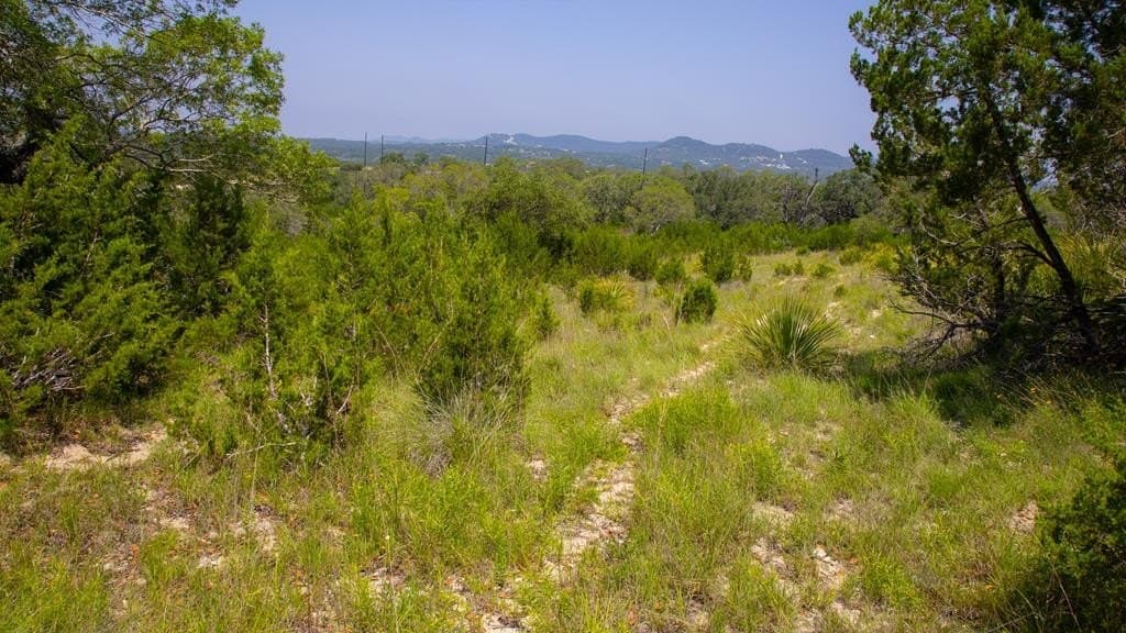 5 acres in Bandera County - photo 9