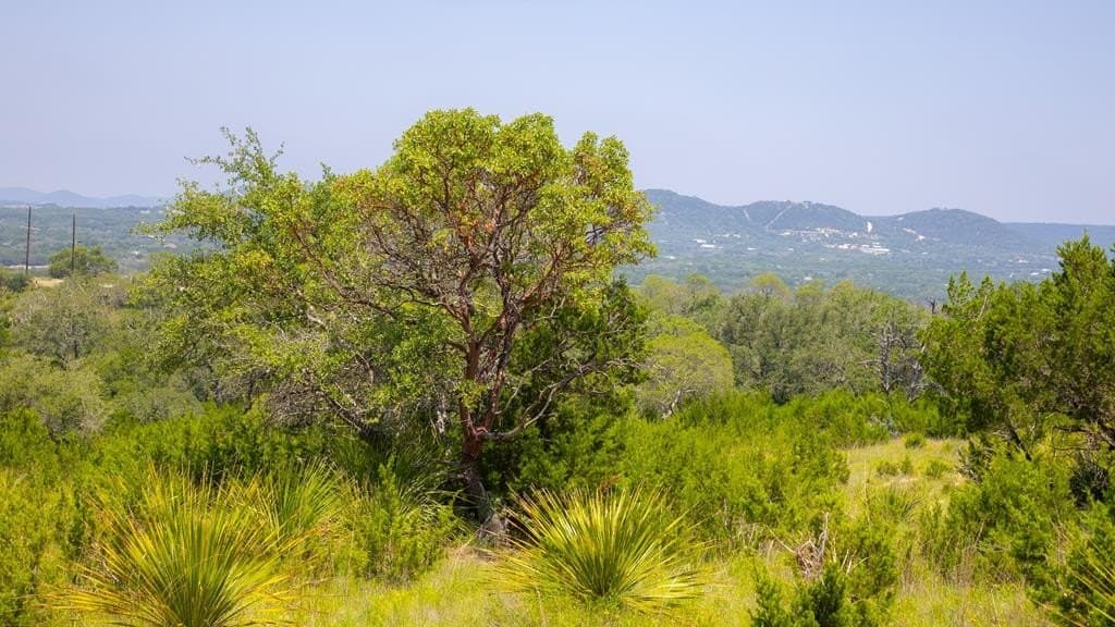 5 acres in Bandera County - photo 10