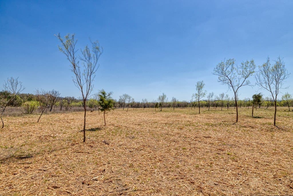 7 acres in Real County - photo 58