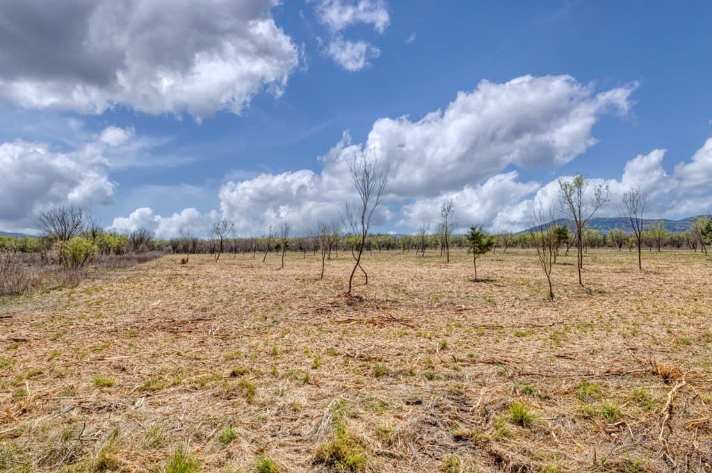 7 acres in Real County - photo 57