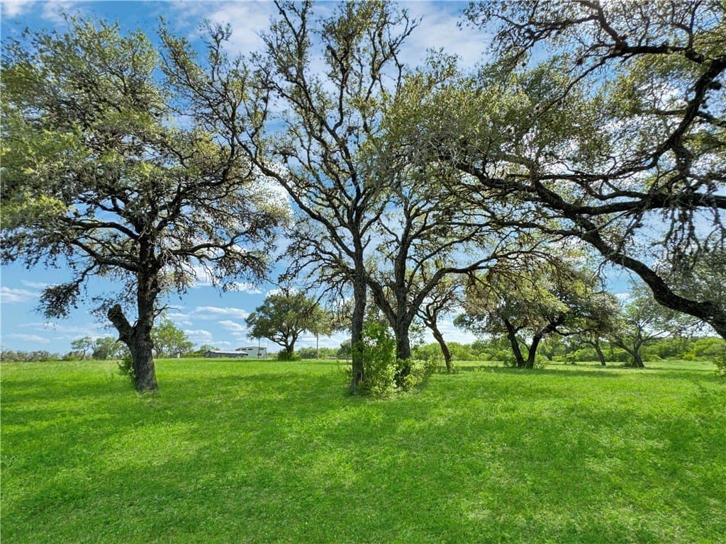52.19 acres in Bee County featured view