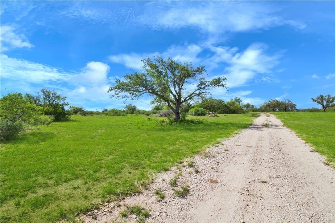 52.19 acres in Bee County - photo 20