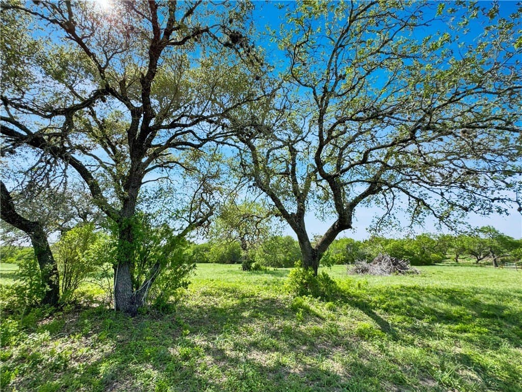 52.19 acres in Bee County - photo 13