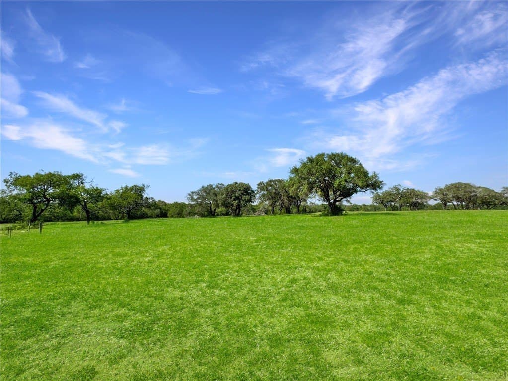 52.19 acres in Bee County - photo 19