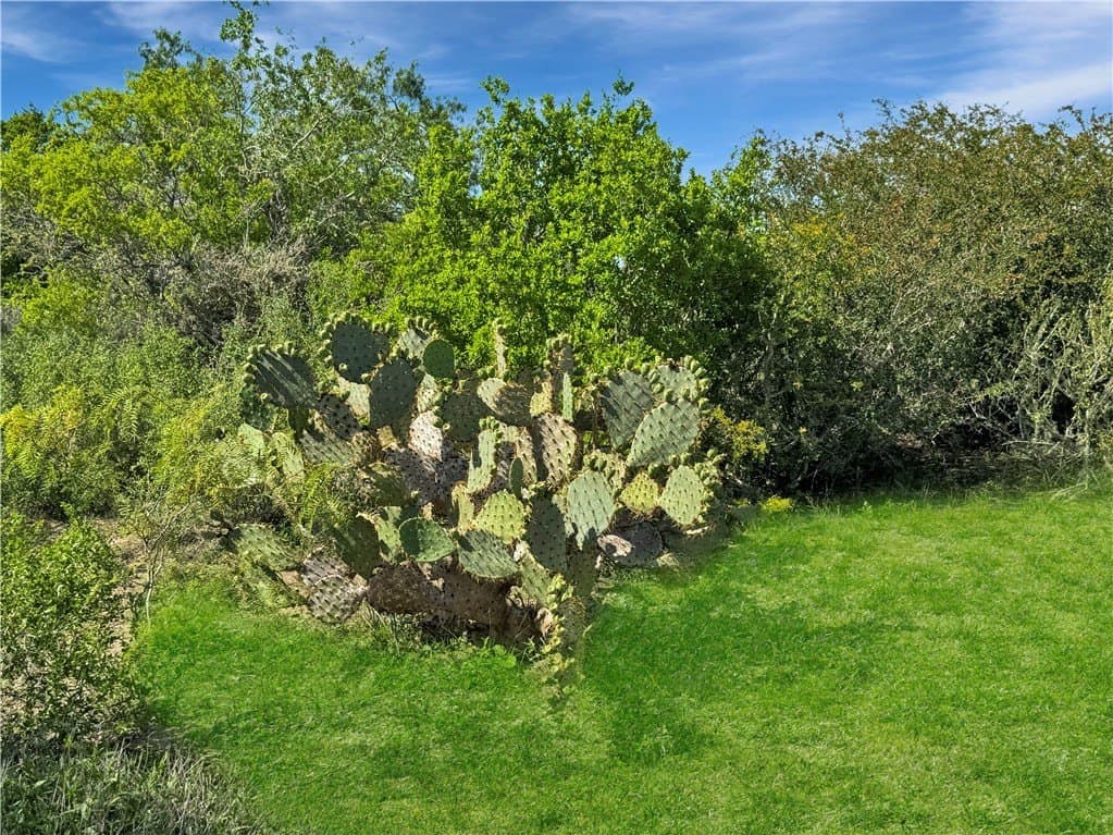 52.19 acres in Bee County - photo 15