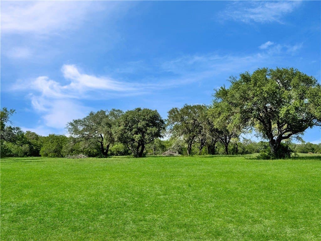 52.19 acres in Bee County - photo 17