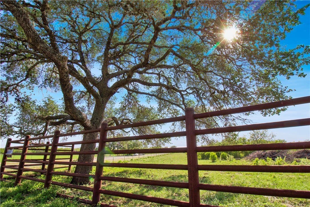 52.19 acres in Bee County gallery image 2