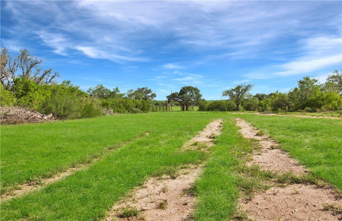 52.19 acres in Bee County - photo 18