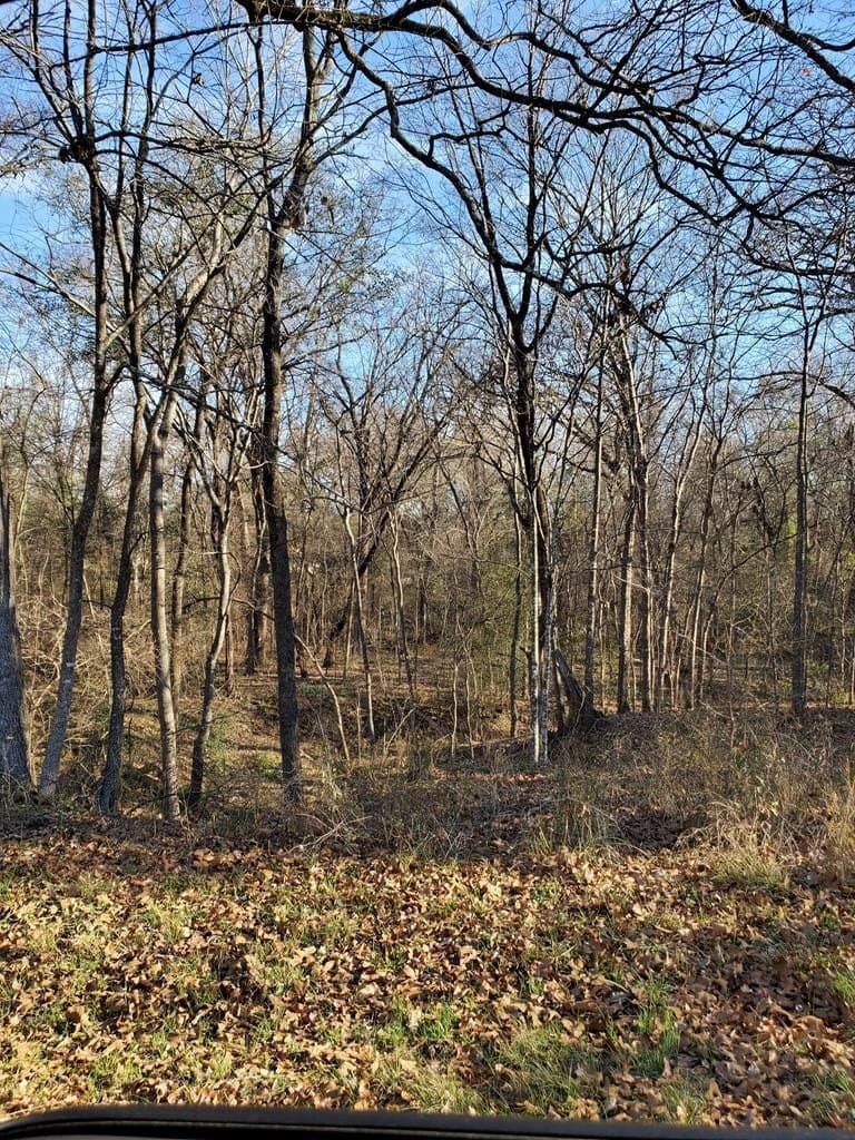 3 acres in Henderson County