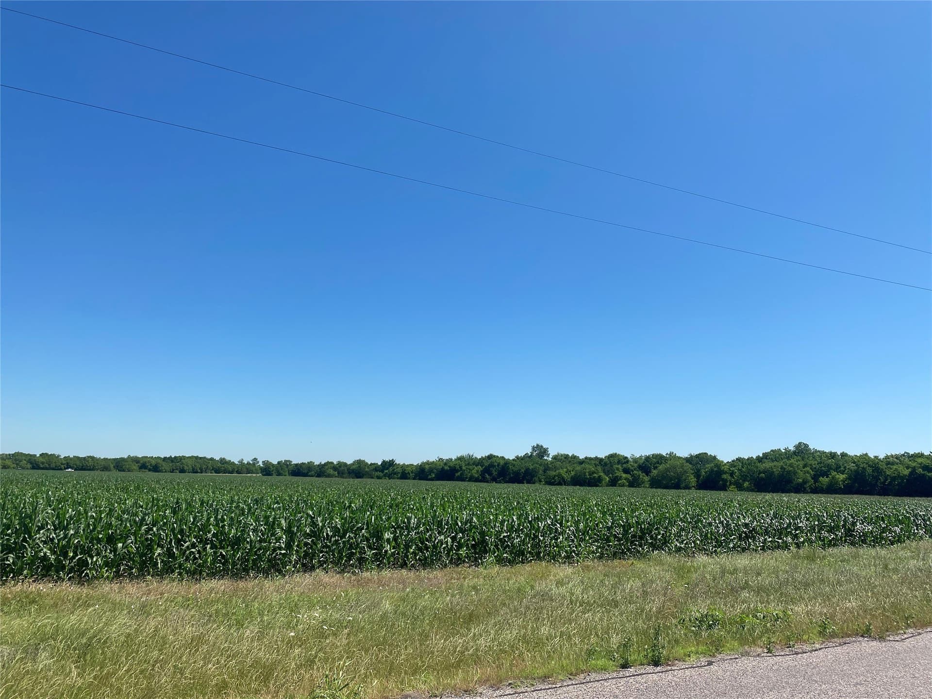 1 acres in Collin County - photo 8