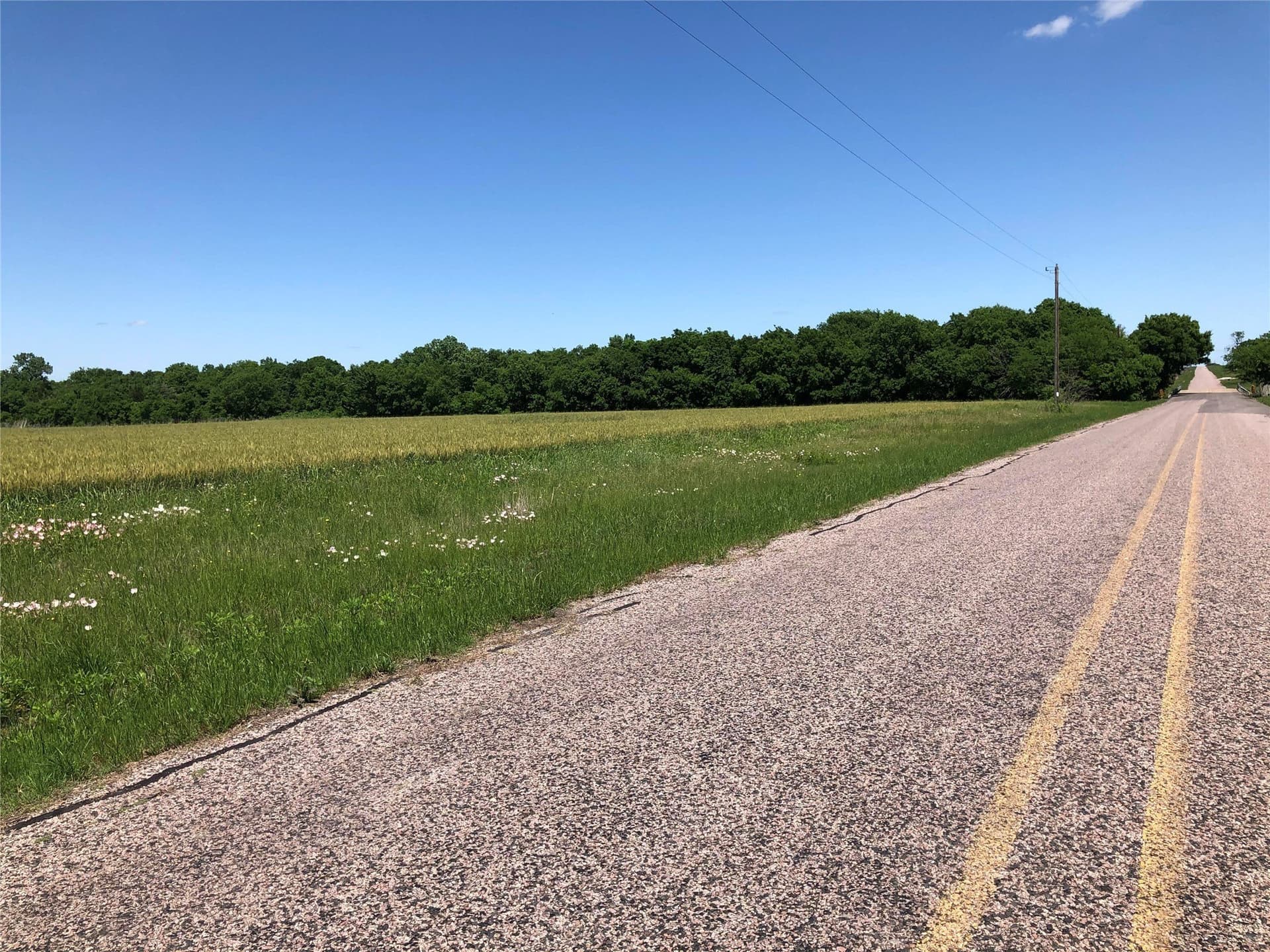 1 acres in Collin County gallery image 2