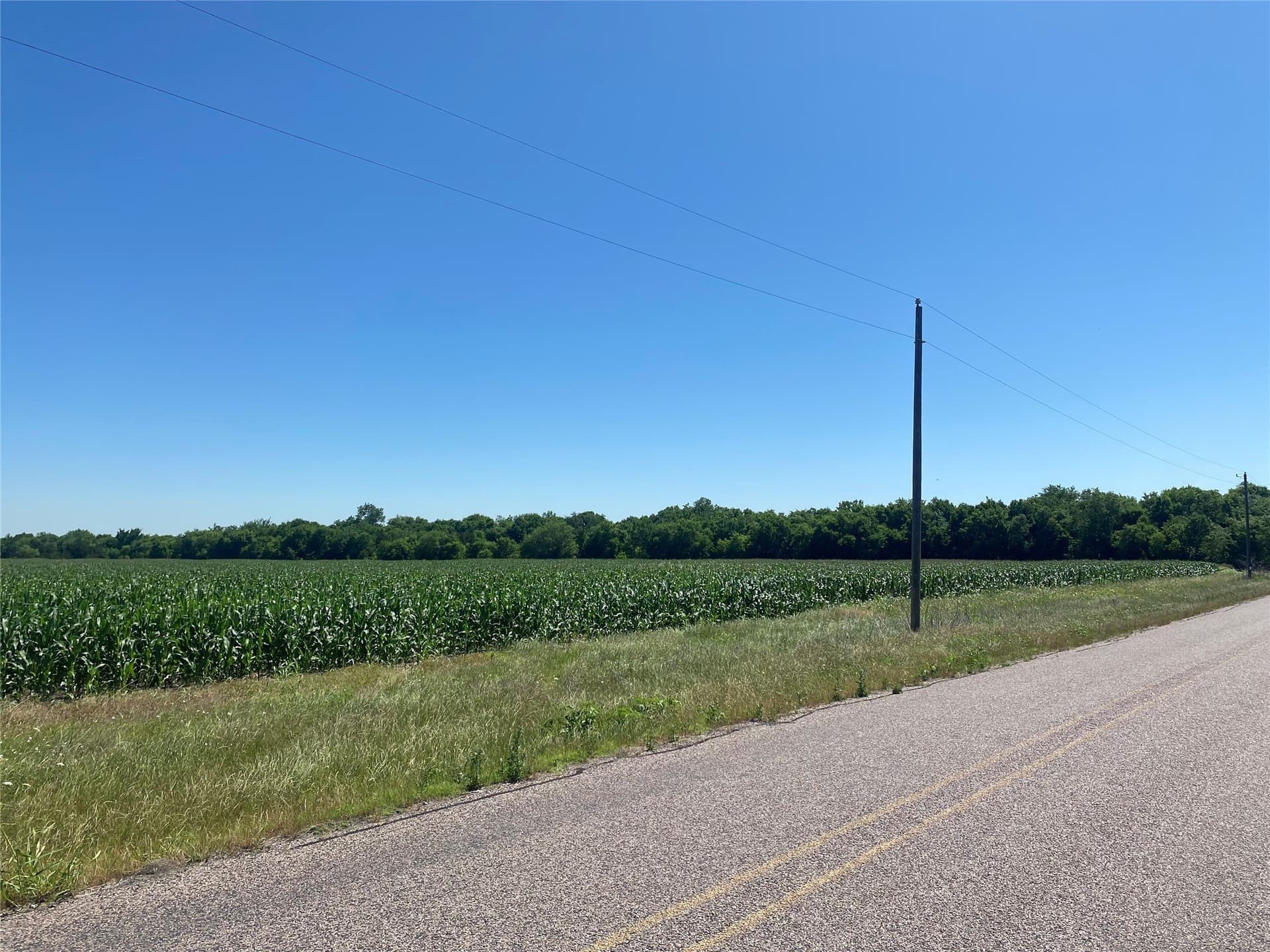 1 acres in Collin County - photo 9