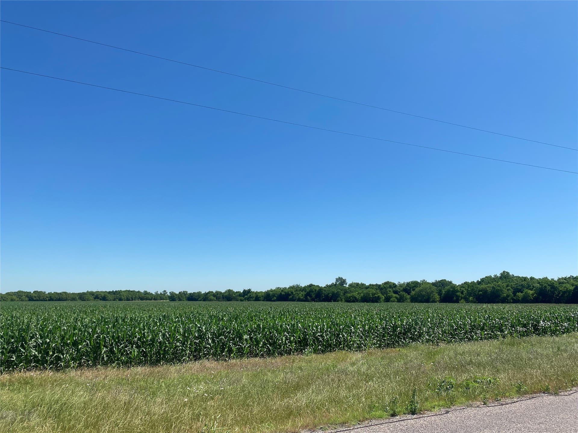 1 acres in Collin County - photo 10