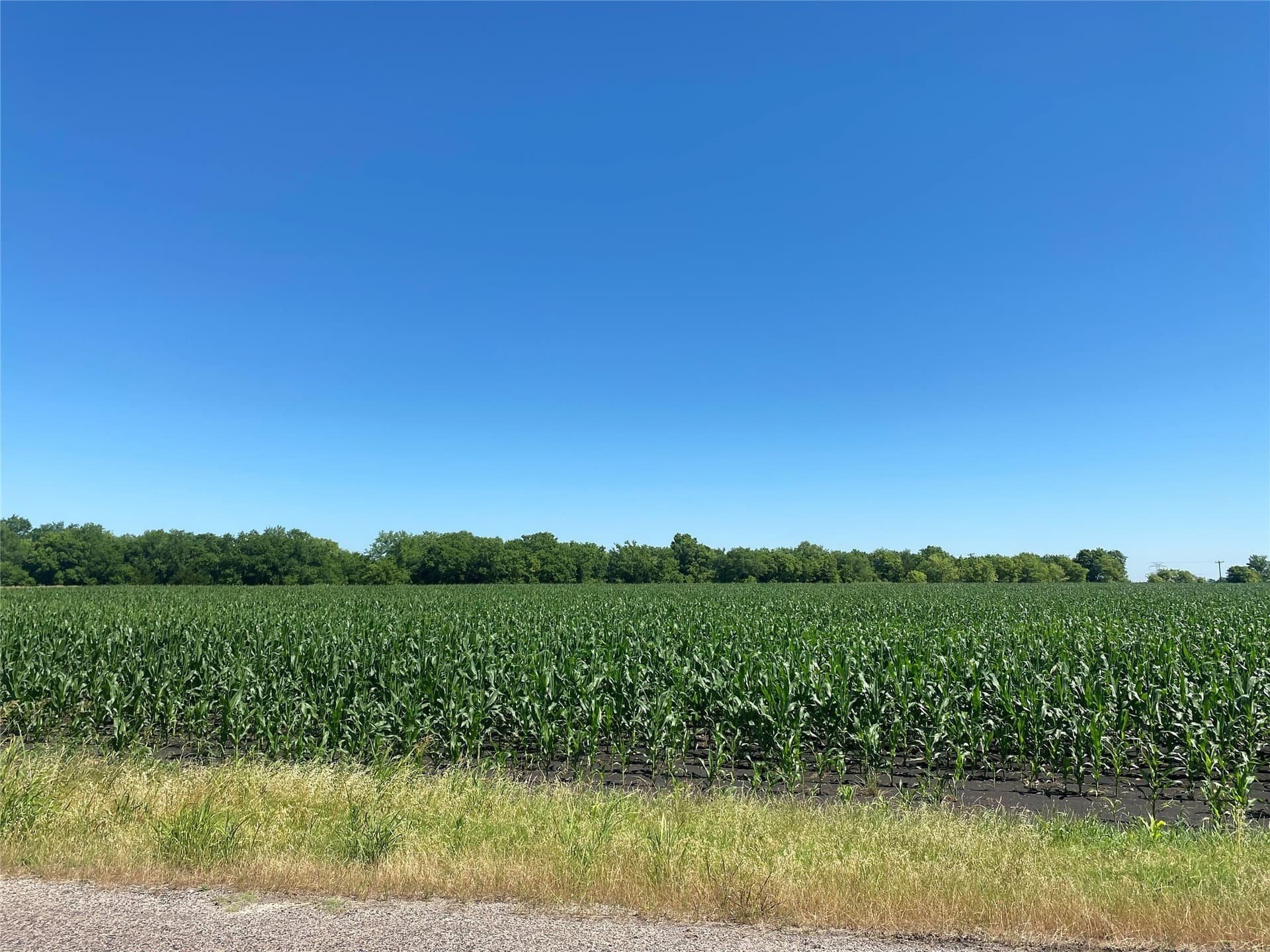 1 acres in Collin County - photo 7