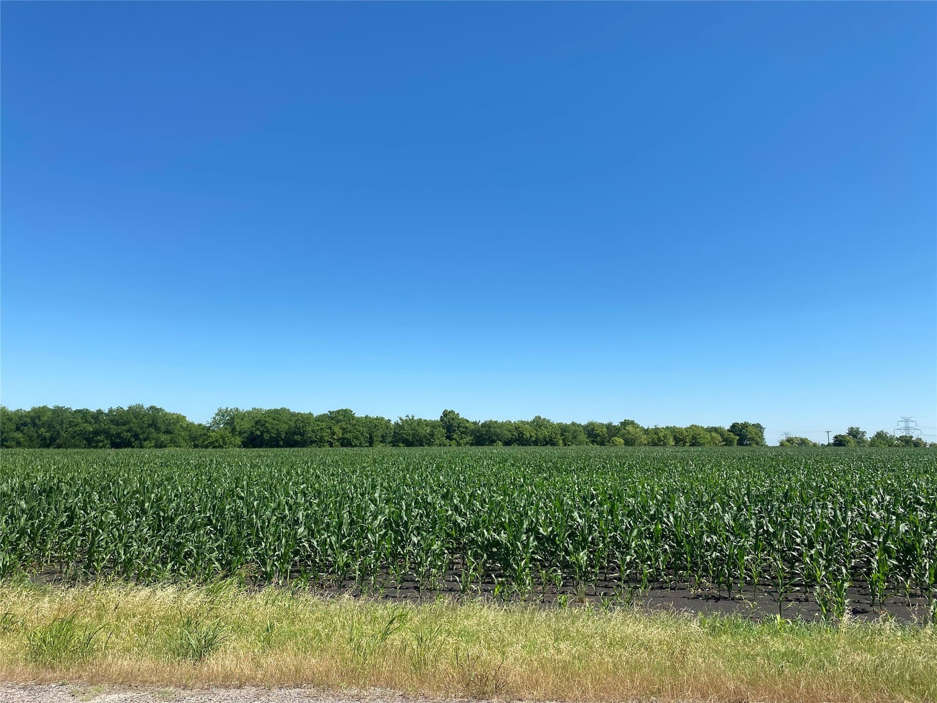 1 acres in Collin County featured view
