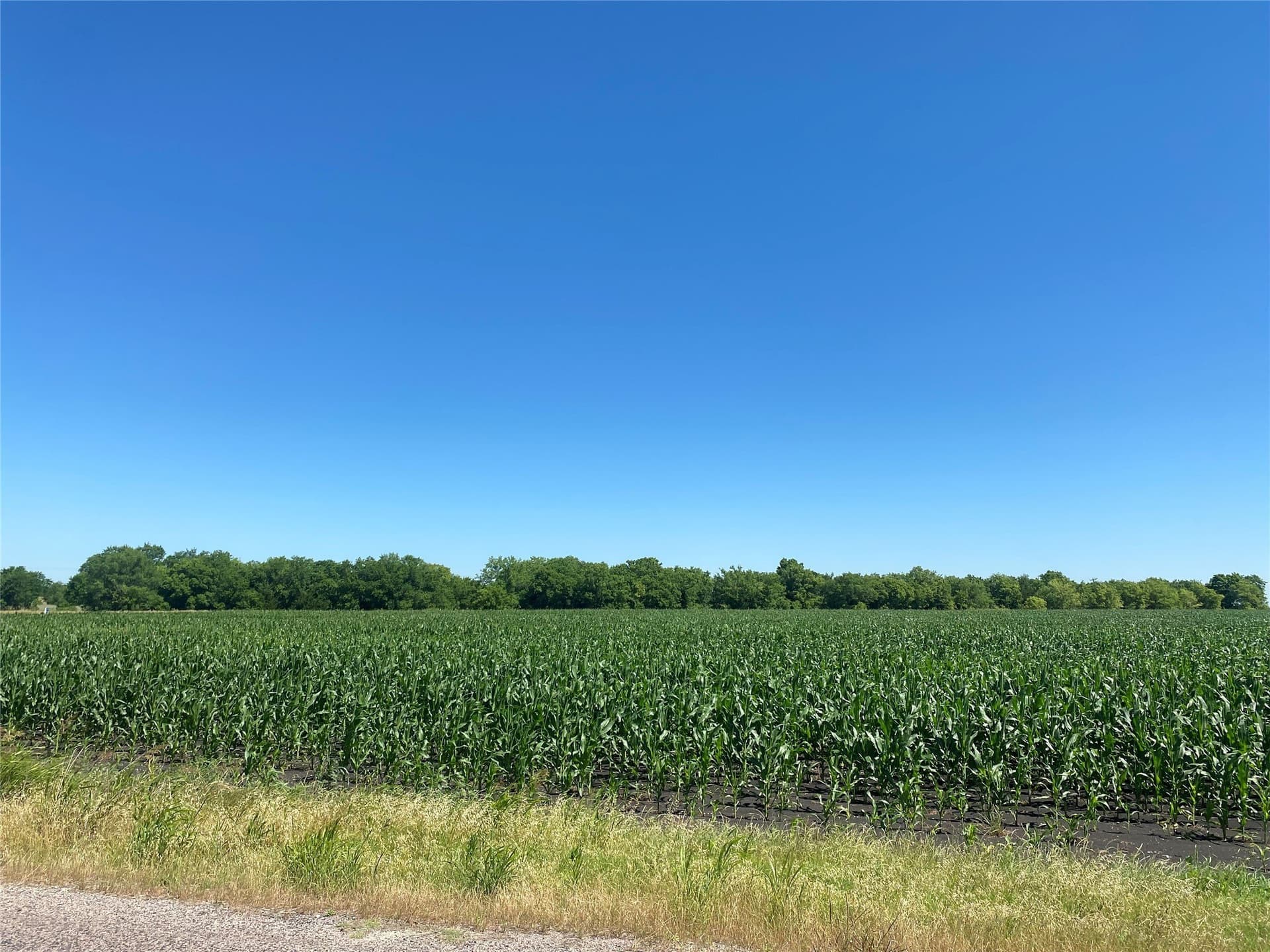1 acres in Collin County - photo 6
