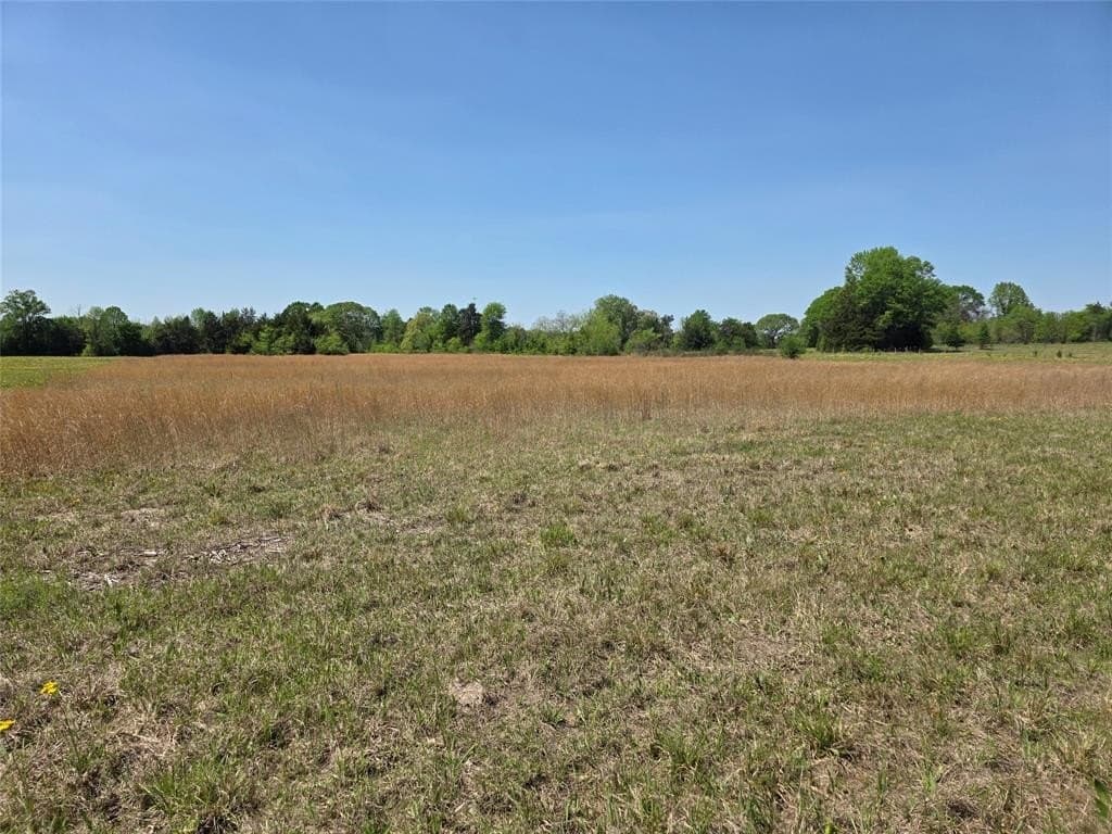 10.29 acres in Bowie County gallery image 2