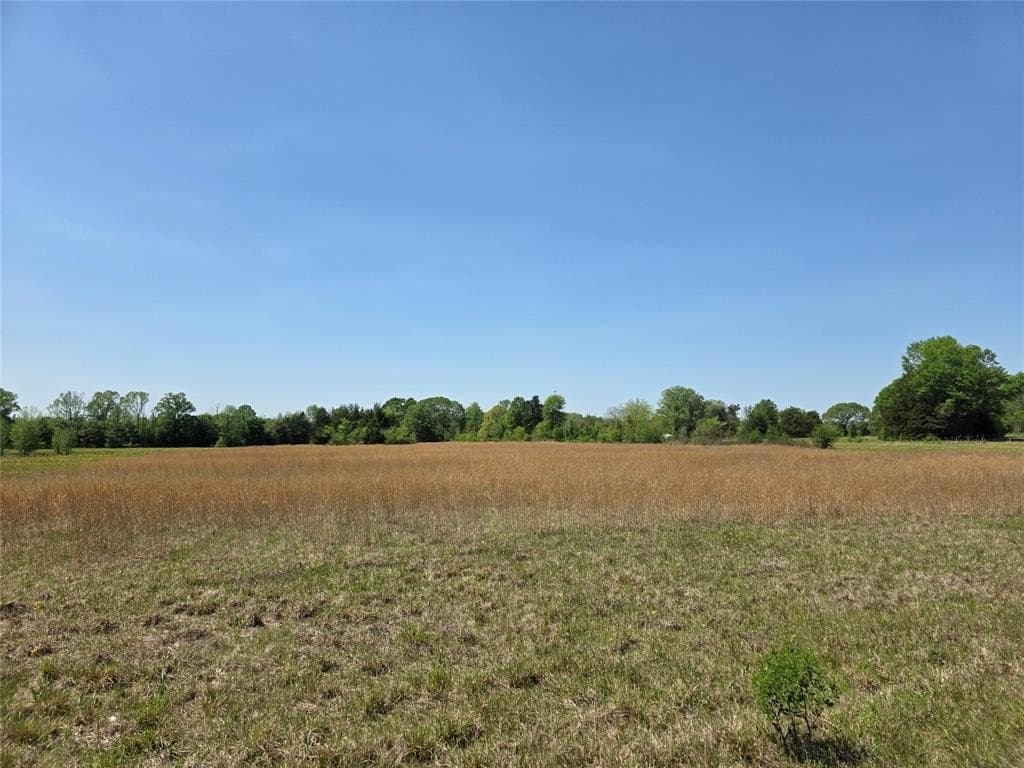 10.29 acres in Bowie County gallery image 3