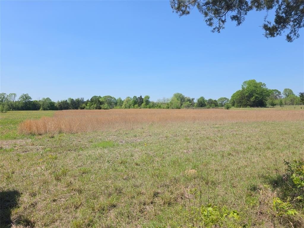 10.29 acres in Bowie County