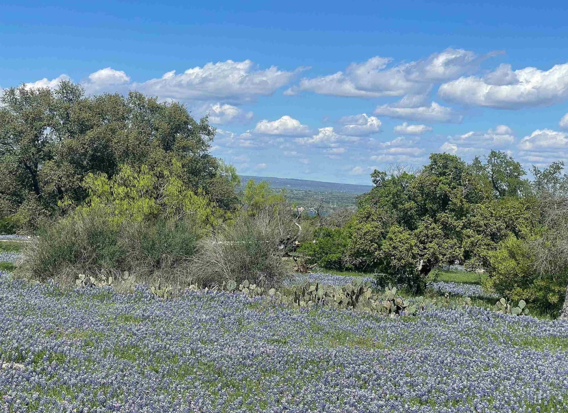 0.1 acres in Llano County gallery image 2