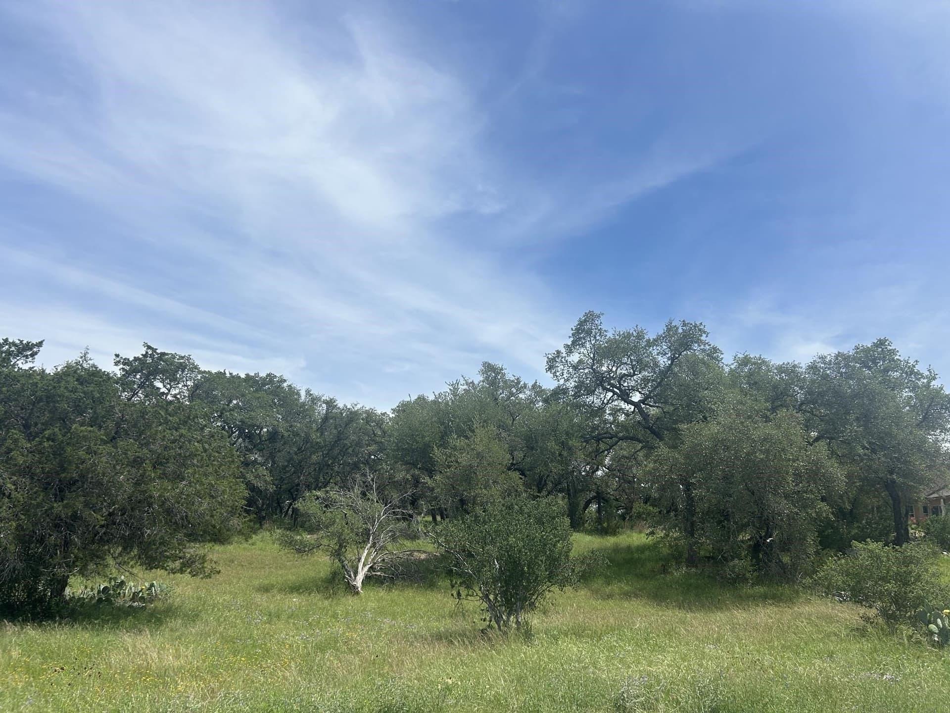 0.1 acres in Llano County gallery image 2