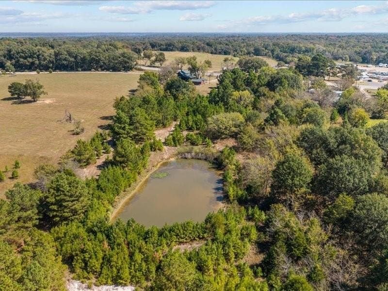 14.51 acres in Rains County gallery image 2