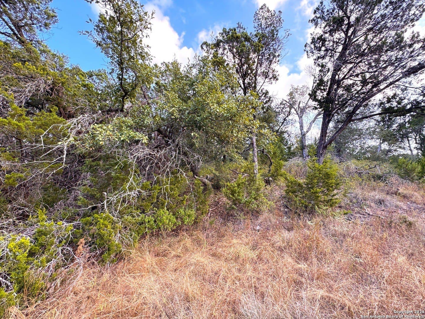 0.33 acres in Comal County - photo 7