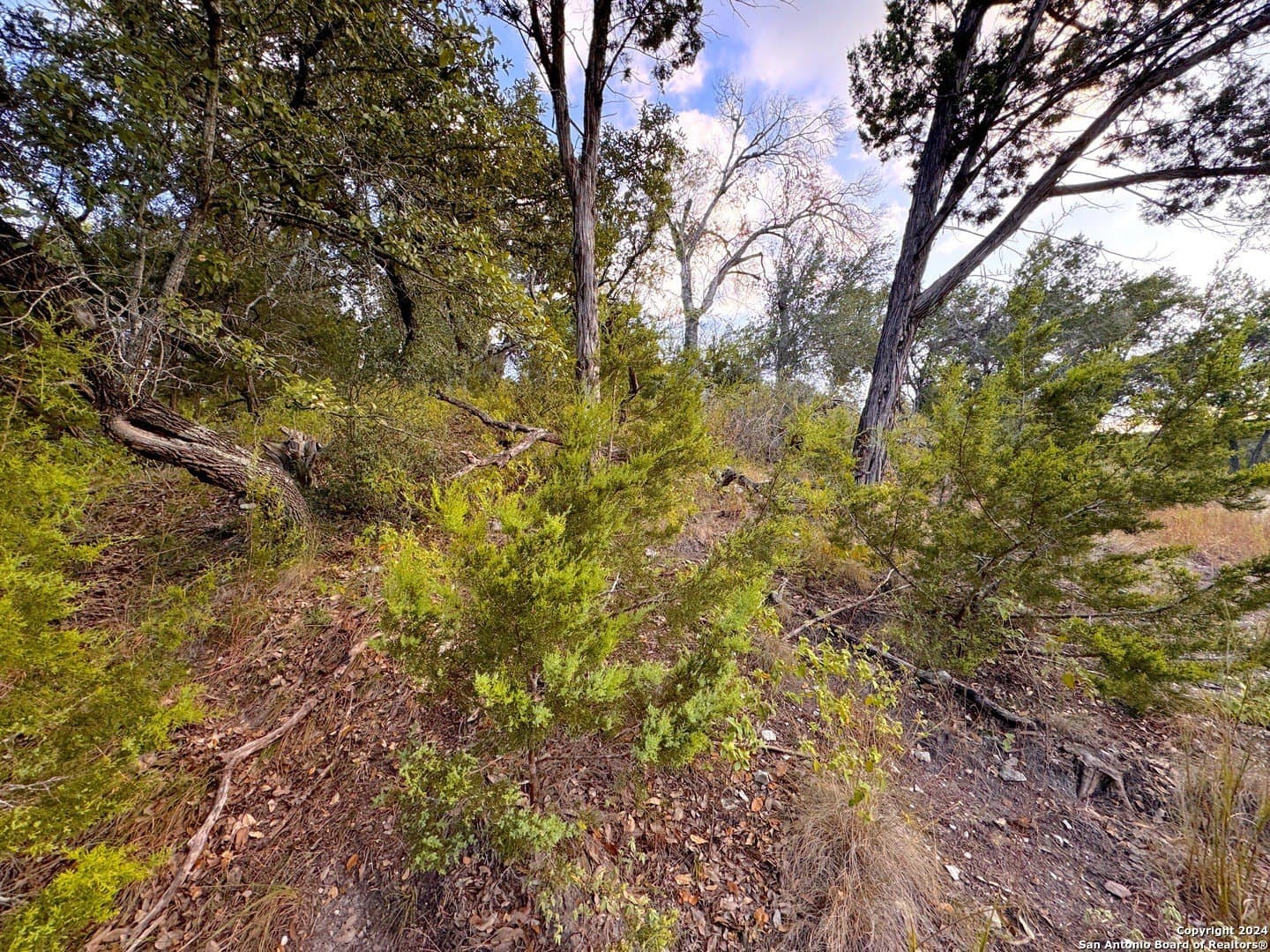 0.33 acres in Comal County featured view