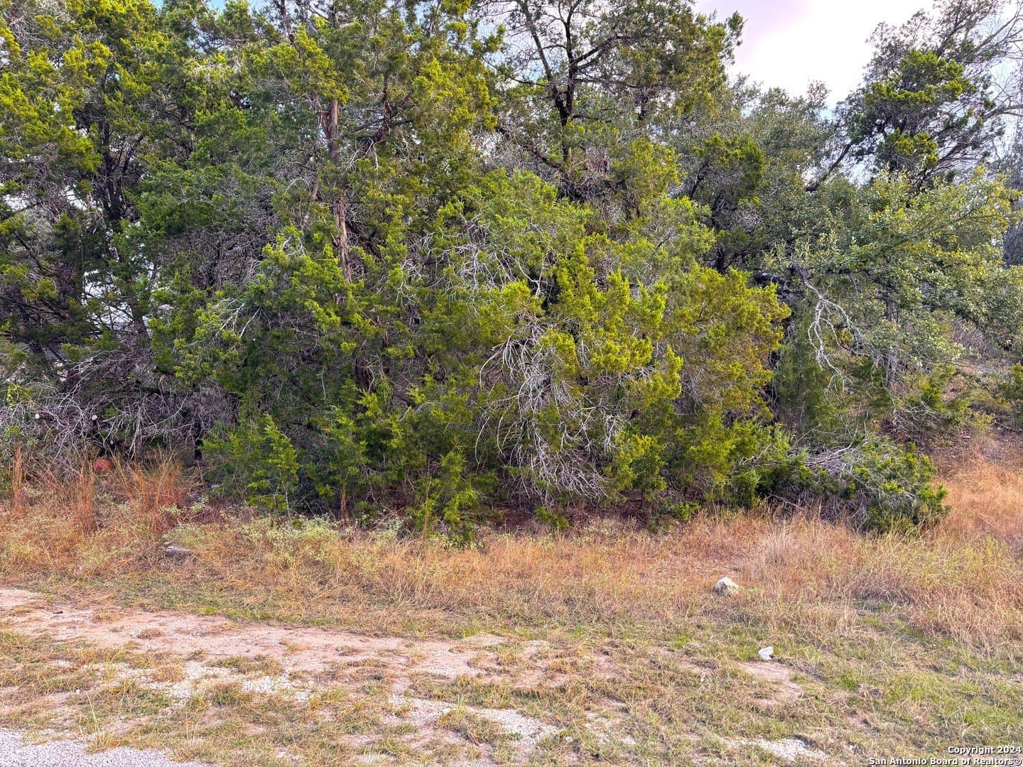 0.33 acres in Comal County gallery image 3