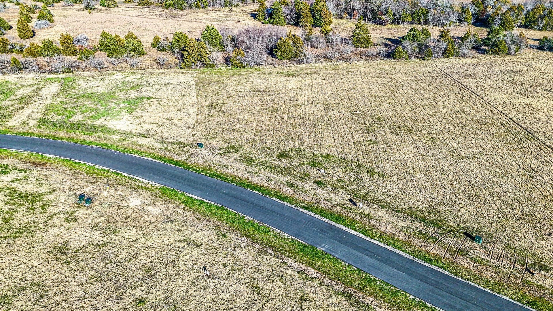 1 acres in Navarro County - photo 16