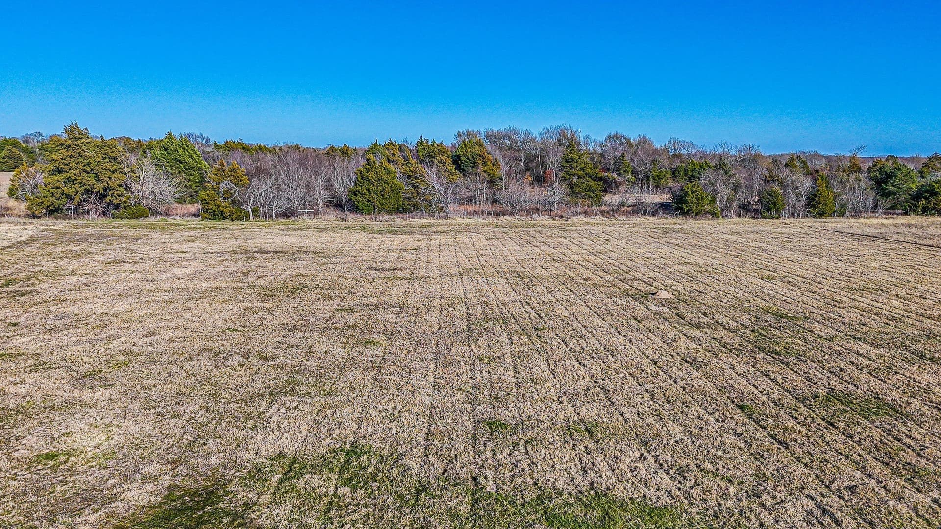 1 acres in Navarro County - photo 18