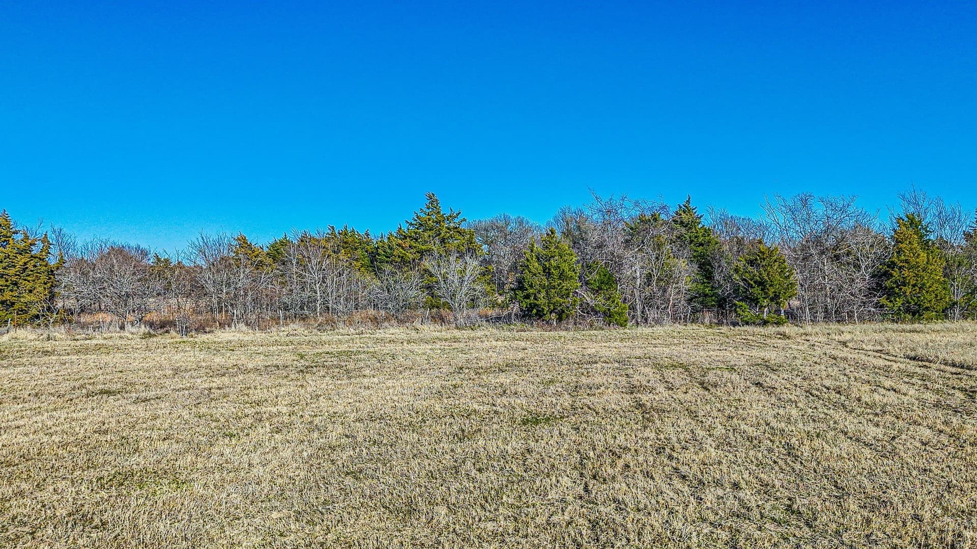 1 acres in Navarro County - photo 17