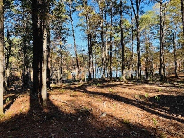 1.76 acres in Texas County - photo 2
