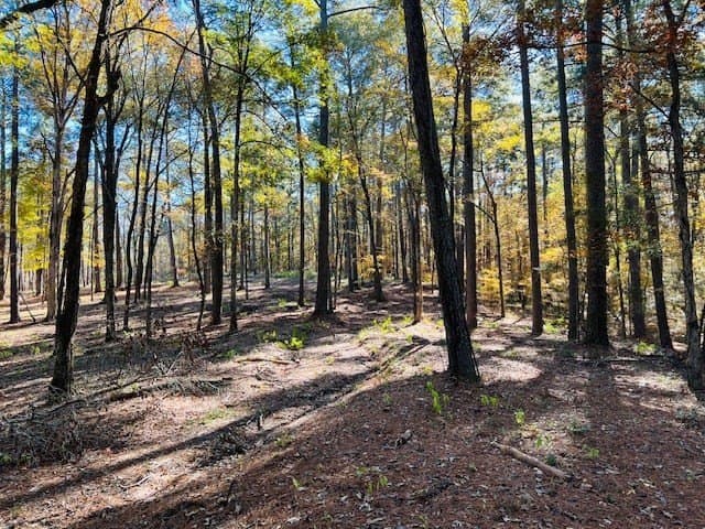 1.76 acres in Texas County - photo 4