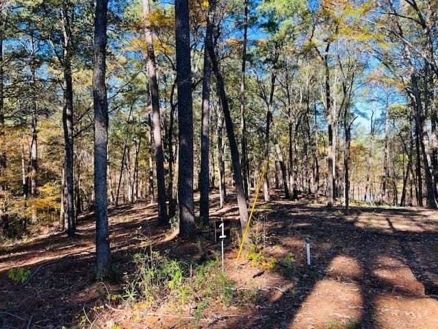 1.76 acres in Texas County - photo 3