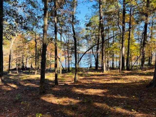 1.76 acres in Texas County - photo 5