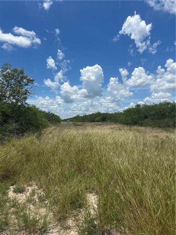 1 acres in Live Oak County gallery image 4