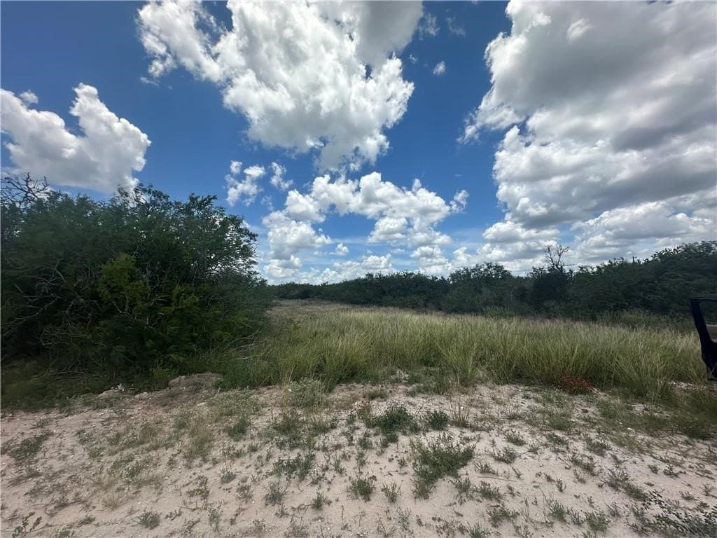 1 acres in Live Oak County gallery image 2