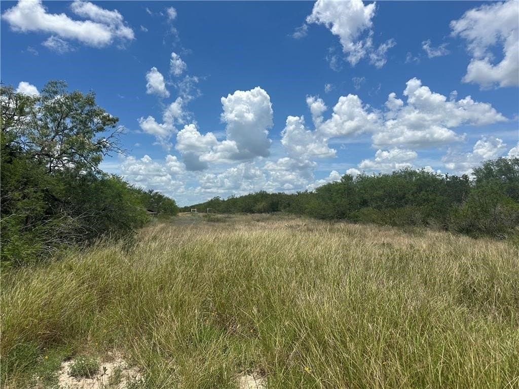 1 acres in Live Oak County featured view