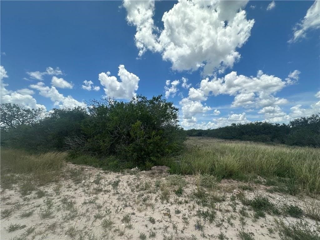 1 acres in Live Oak County gallery image 3